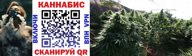 Бошки марихуана White Widow Свободный